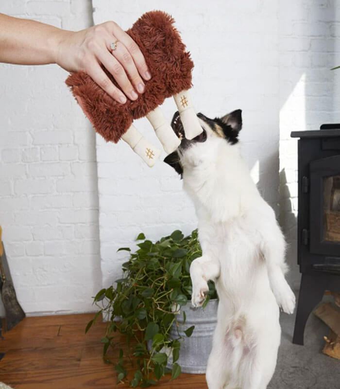 P.L.A.Y. Barking Brunch Mini Plush Dog Toys, Bundle (Mini Sized