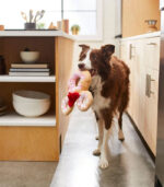 Peluche-para-perros-Disney-Minnie-Mouse-Donut-1